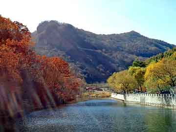 奥门天天开奖免费资料，两生花祭